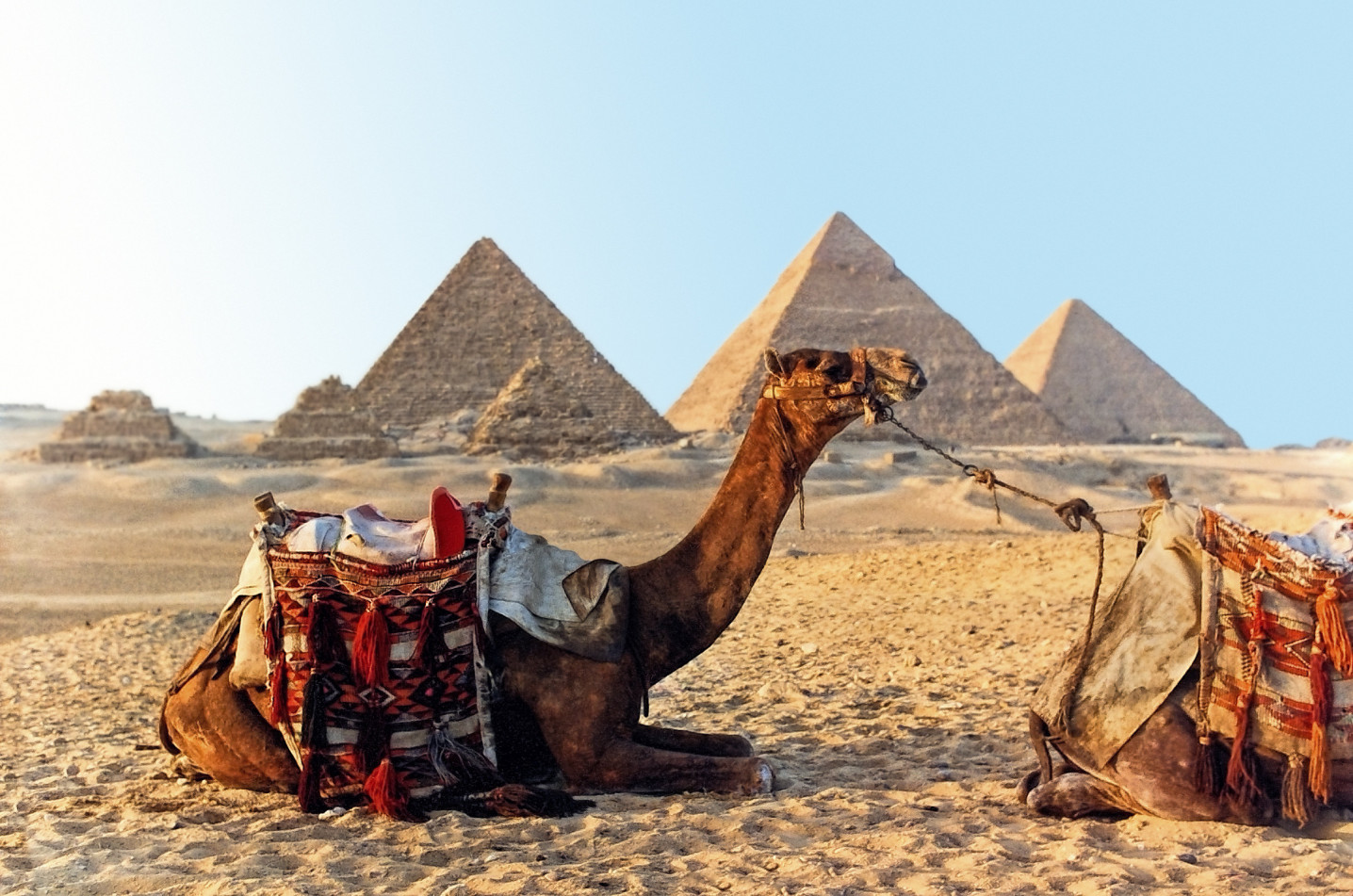 10 Days Cairo Nile Cruise Alexandria tour - 5 stars accommodation