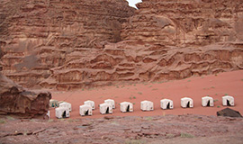 Jordan Petra, Wadi Rum and Dead Sea from Sharm by ferry 