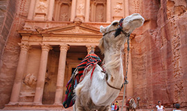 Jordan Petra, Wadi Ram from Sharm Overland 